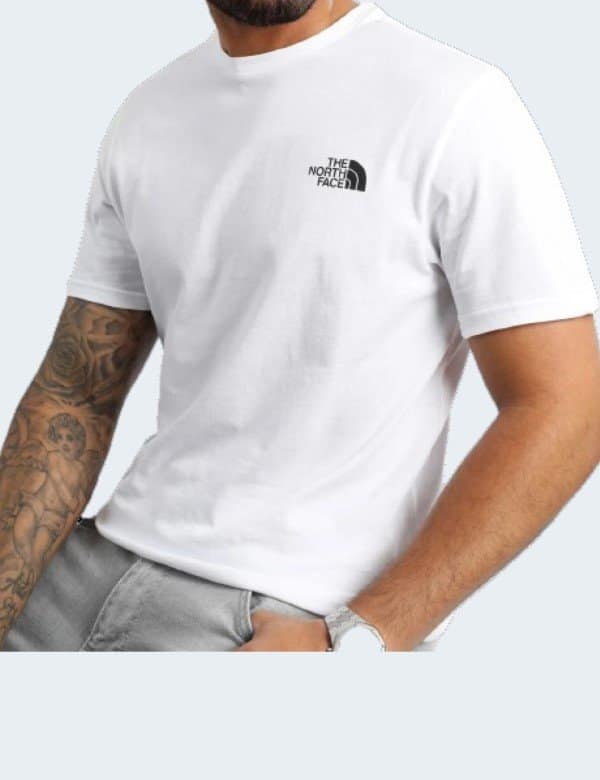 t-shirt-north-face-homme-blanc-petit-logo